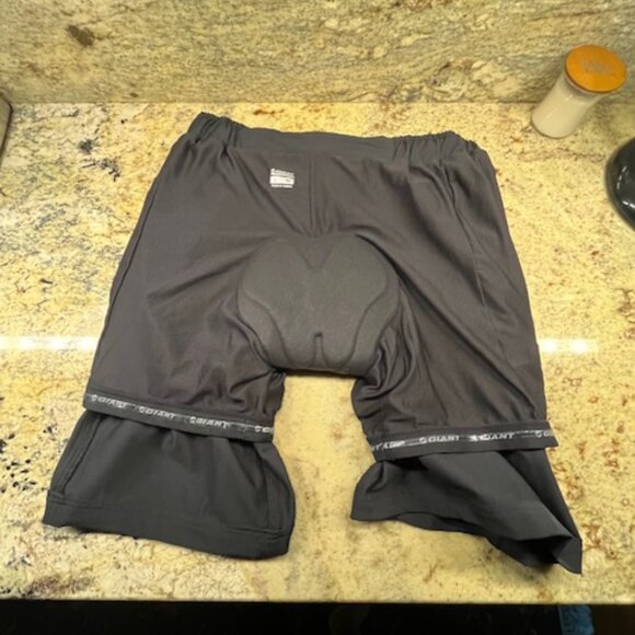 Men’s, Large, Giant, Mesh-lined Core Baggy Shorts - Picture 4 of 5